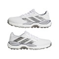 White/Silver